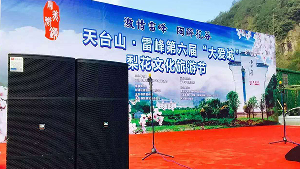 浙江草莓视频污免费看音響設備 雙15寸草莓视频污免费看成人草莓视频APP下载