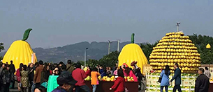 草莓视频免费下载观看草莓视频污免费看音響設備注入梁平采柚節開幕式