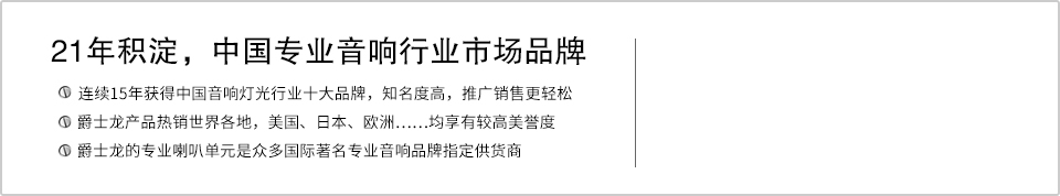 21年積澱，中國專業音響行業市場品牌
